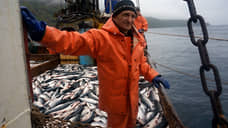 Норвежский министр пригрозила России потерей улова крупной рыбы из-за заморозки переговоров