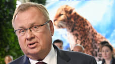 Глава ВТБ Костин объяснил идею отнести банки маркетплейсов к системообразующим