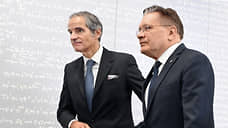 Глава «Росатома» обсудил вопросы безопасности Запорожской АЭС с главой МАГАТЭ