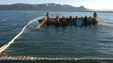 Путин поручил подготовить к марту предложения по увеличению закупок рыбы