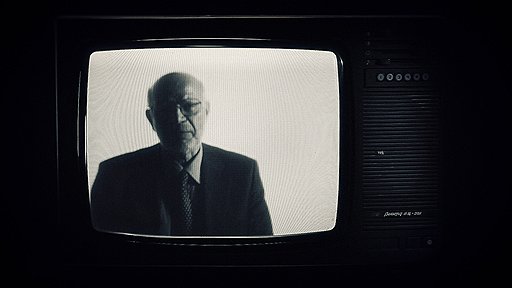 Михаил Федотов , советник президента РФ Статья 61, часть 2 (о том, что Российская Федерация гарантирует своим гражданам защиту и покровительство за ее пределами).
