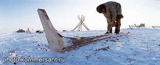 Эта заготовка для полозьев нарт особенно пригодится летом, когда полозья сильнее всего изнашиваются. На новом стойбище древесины не будет, так что заготовки поедут вместе с кочевниками 