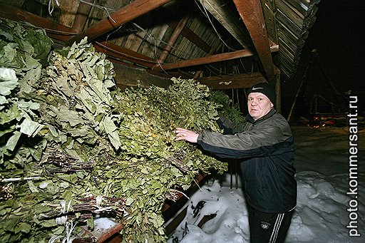 Фирма веников навяжет — костромские пармейстеры признают только веники из родных березок