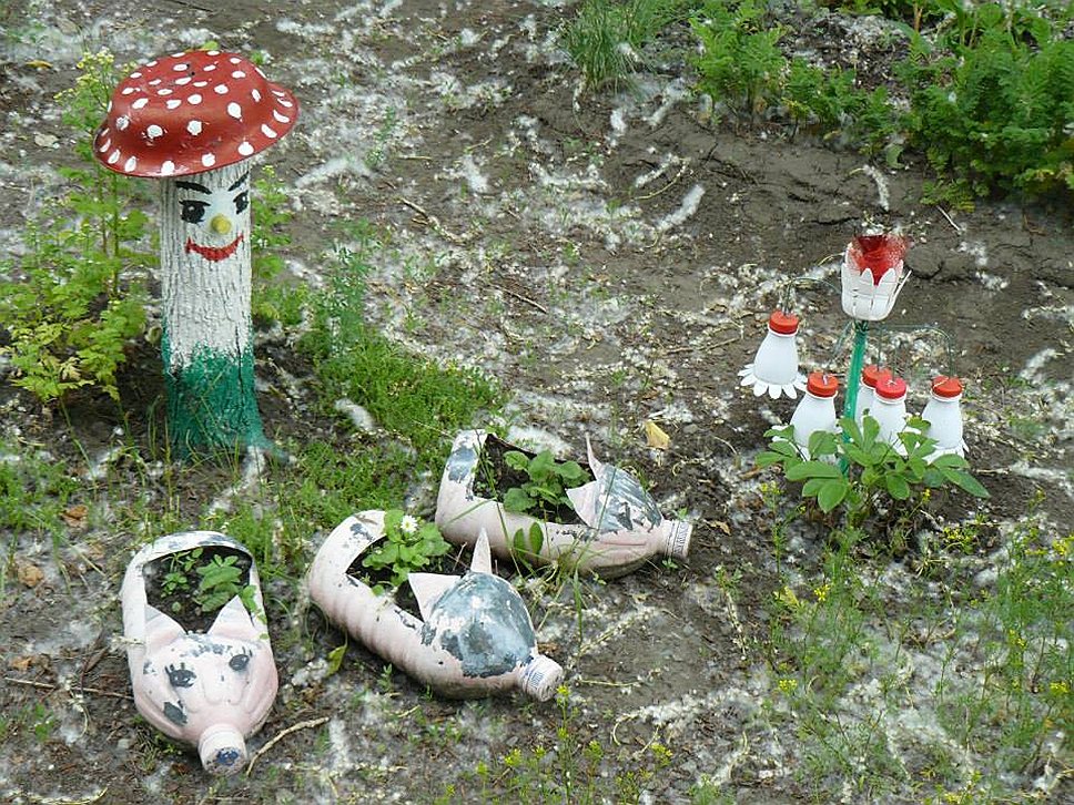Свинки, грибочки, цветочки — удивительное рядом повсеместно 