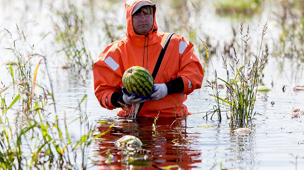Сотрудник МЧС на затопленном поле с арбузами в Благовещенском районе. Амурская область
