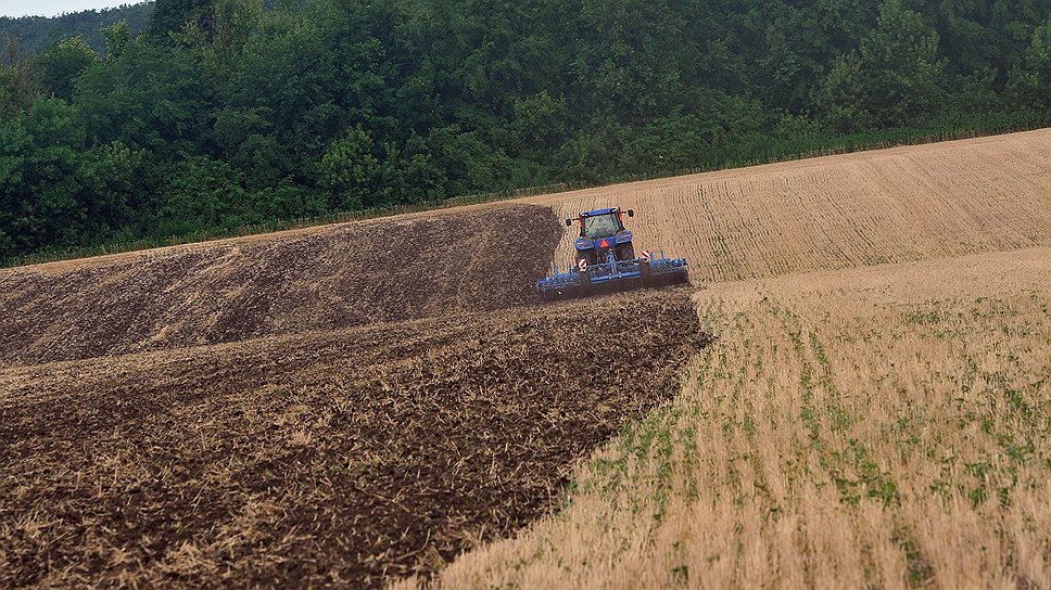 Уборка озимой пшеницы в России. Учитывая, что общая посевная площадь в стране — 133,5 млн гектаров, поклонникам ГМ-культур будет где развернуться 
