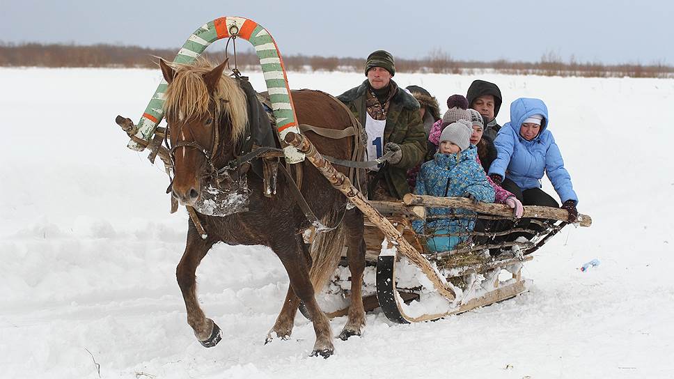 Пройдя полкилометра по снежной целине, лошадь еще вполне способна перевезти зрителей с одного конца импровизированного ипподрома на другой 