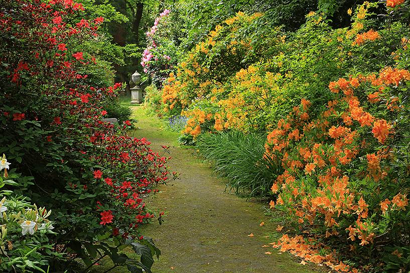 Английские сады расцветут на ВДНХ
