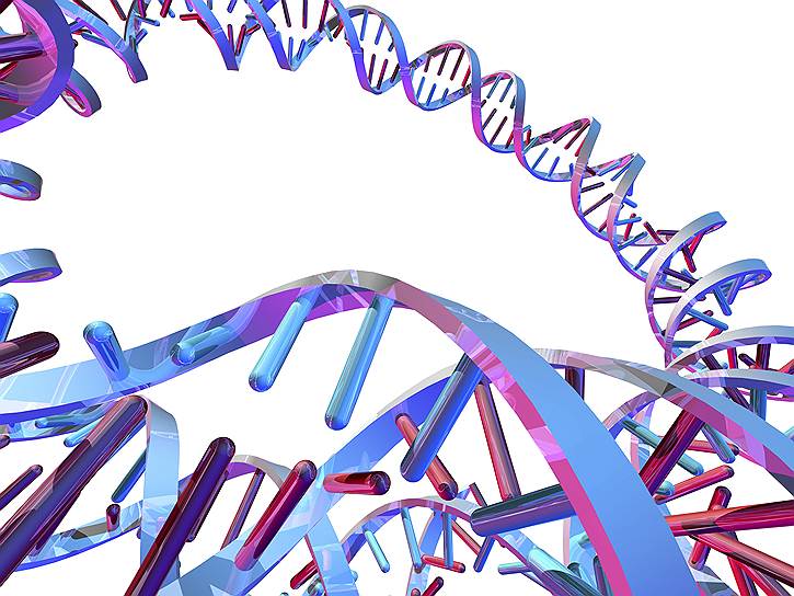 ДНК бактерий превратились в настоящий клондайк для охотников за антибиотиками 