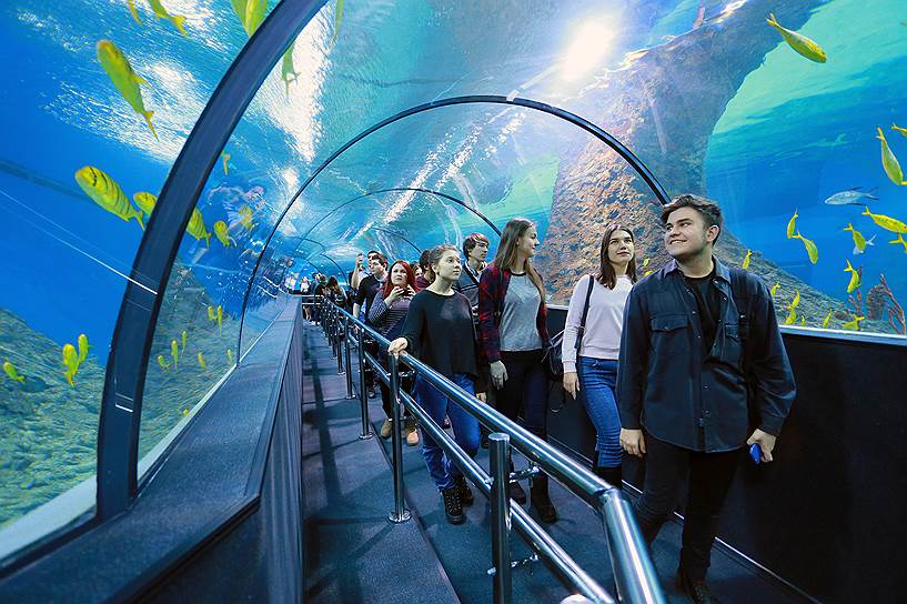 В океанариуме &quot;Акватика&quot; самый длинный подводный тоннель в Восточной Европе 
