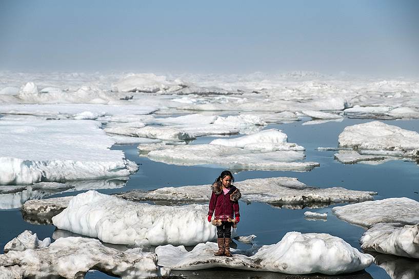 В последние несколько лет большие льдины можно найти все дальше от берега. Морской лед начинает таять раньше и быстрее. Таяние ледников и морского льда на Аляске привело к массовой миграции на побережье моржей и морских львов в 2015-м году