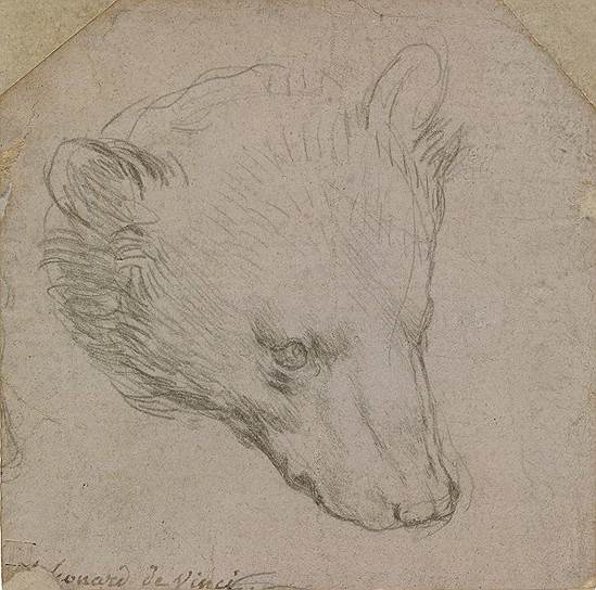 Леонардо да Винчи. &quot;Голова медведя&quot;. Около 1485 года 
