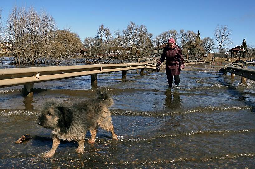 В поселке Холуй Ивановской области затопило мост. Село называют &quot;Холуйской Венецией&quot;.  
