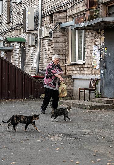 До конфликта вокруг Солженицына головной болью жителей пятиэтажки была любовь этой женщины к кошкам. Кто-то грозил подать на нее в суд, кто-то – расправиться с животными. Но Солженицын оттянул весь гнев на себя