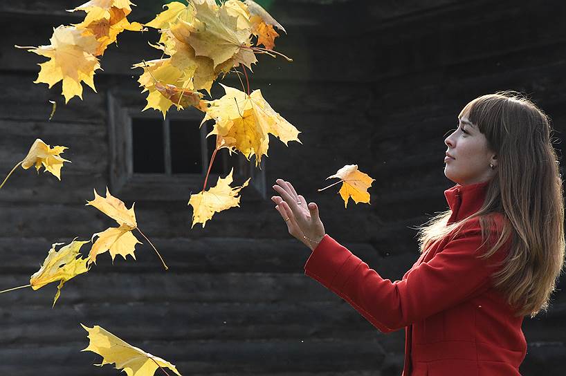 Яблоки и листья — редкий экскурсант не собирает их осенью в болдинском парке