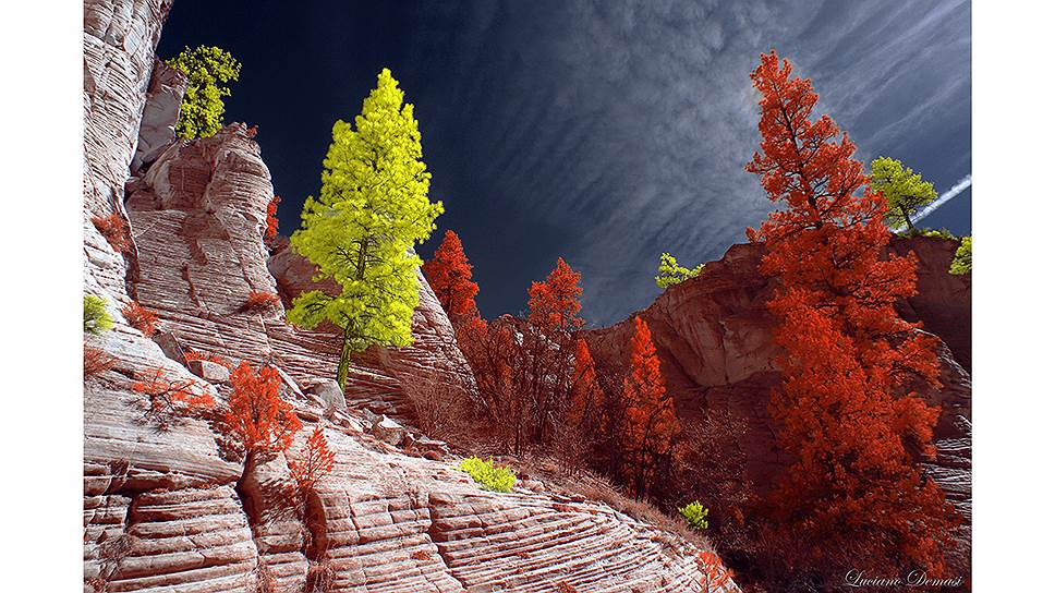 Конкурс инфракрасной фотографии Life in Another Light. На фото: Utah by Luciano Demasi