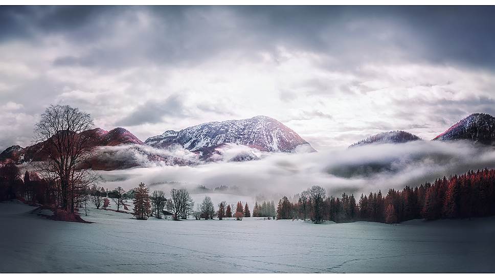 Конкурс инфракрасной фотографии Life in Another Light. На фото: Morning Fog by David Hochleitner