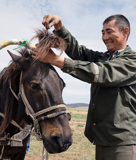 Животновод Хубита Доржиев делает прическу лошади 