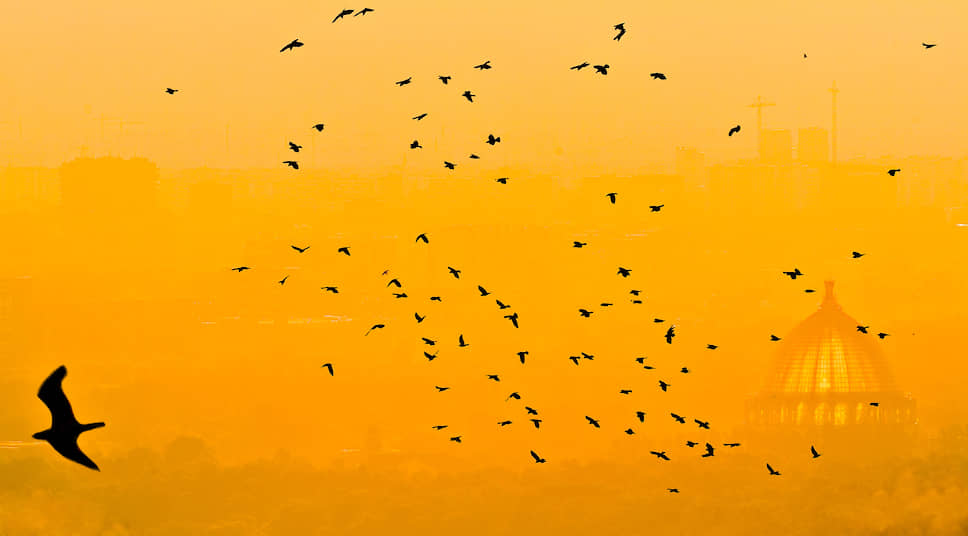 Птицы на рассвете на фоне павильона «Космос» на ВДНХ