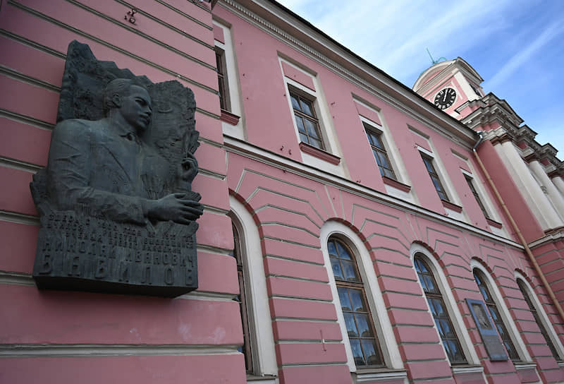Мемориальная доска, посвященная генетику Николаю Вавилову, на стене главного здания академии