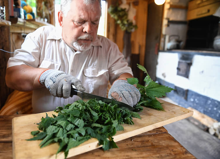 Сергей Ануфриев уверяет, что рецептов из крапивы — более 500
