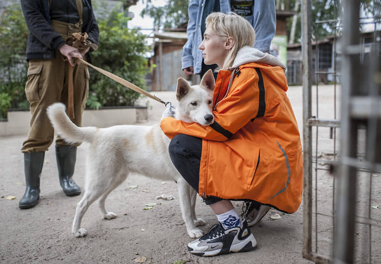 Новые хозяева остаются на связи с приютом. Многие начинают помогать, привозят корма и лекарства