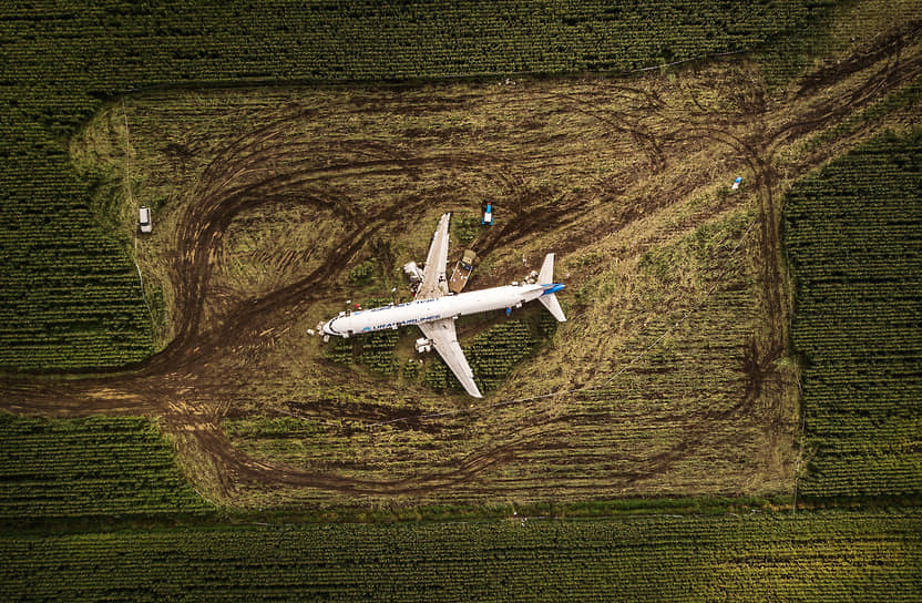 Аварийная посадка самолета Airbus A321 авиакомпании «Уральские авиалинии» вблизи аэропорта Жуковский 15 августа 2019 года