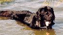 В воде