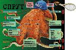 Спрут НФС