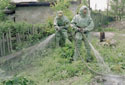 Дезинфекция