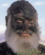 Вил