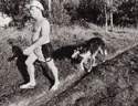 Радзинский собака