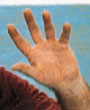 Его пальцы