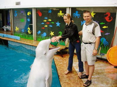 Дмитрий Быков-младший со своей женой в дельфинарии