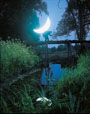 Бендиков--Тишков. «ЛИЧНАЯ ЛУНА». Серия фотографий 2004 — 2005