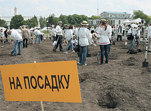 Не надо пугаться, речь пока шла только о посадке «Черешневого леса»