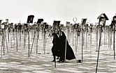 Кладбище мучеников в Иране, 1979