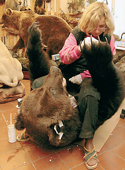 Даже в мертвом животном должно чувствоваться движение