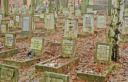 Одинаковые надгробные плиты - это часть переделкинского кладбища, где похоронены старые большевики: члены партии с 20-х годов