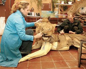 Зубы и клыки делают из пластика