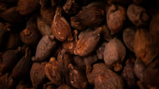 Флаванолы, содержащиеся в какао, могут замедлять процесс старения