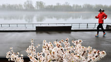 Бег может уменьшить вред, нанесенный организму неправильным питанием