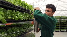 Минсельхоз планирует увеличить долю молодых специалистов в АПК до 15%