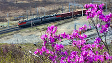 Цепочки устойчивых поставок стали прозрачнее