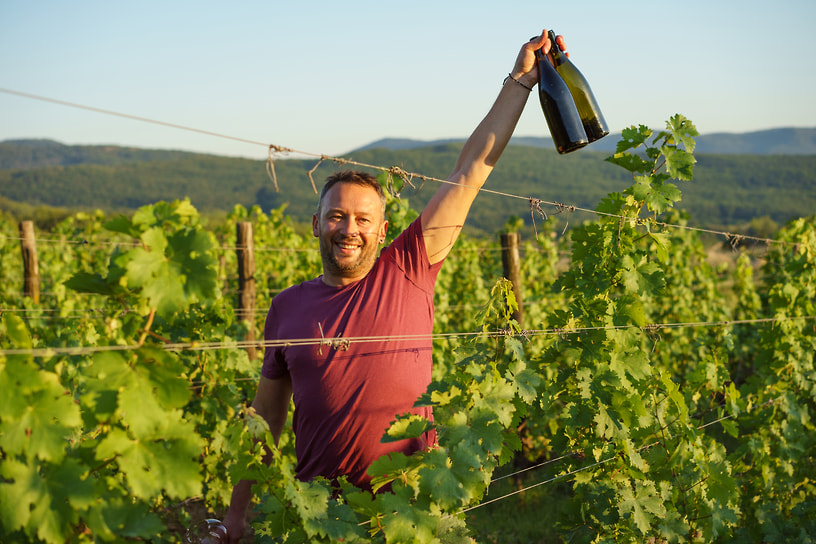 Винодел Павел Швец