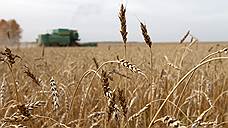 "Ограничение возможностей по сбыту зерна скажется в негативную сторону"