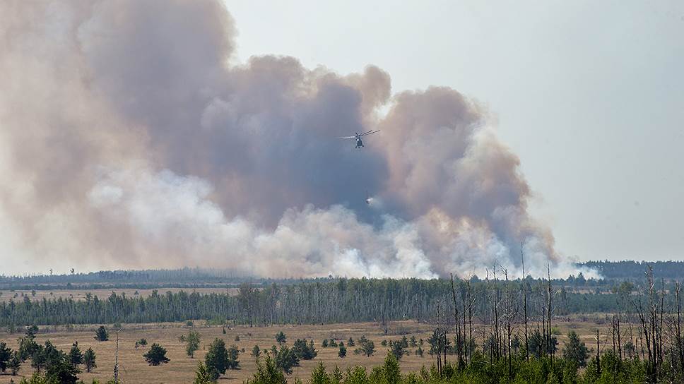 «Россия — мировой лидер по потерям лесов в основном из-за пожаров»