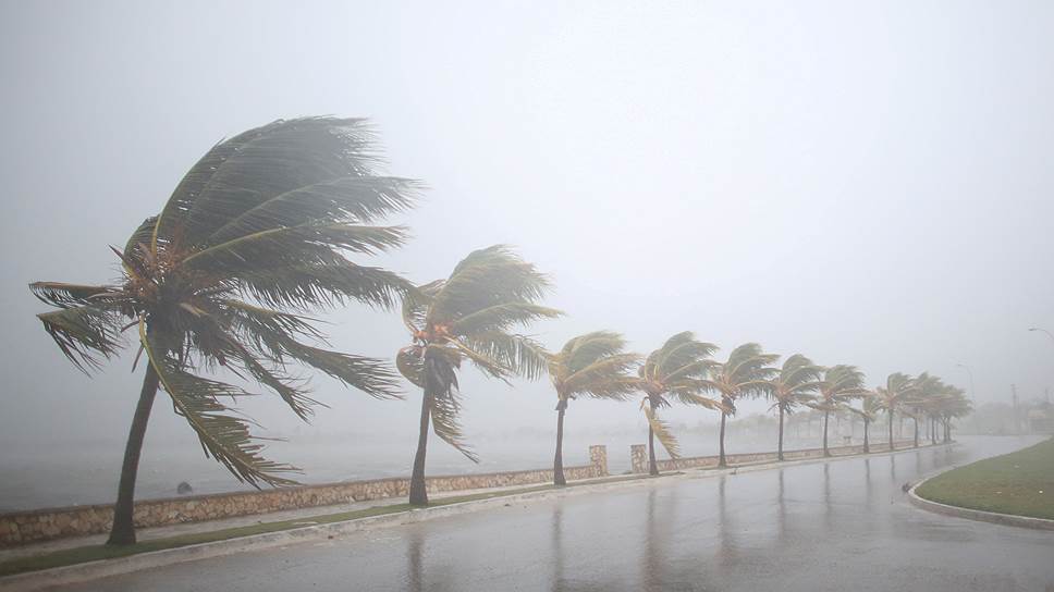 Как власти помогают жителям Флориды спастись от урагана