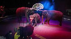 Российский цирк и Cirque du Soleil не поделили арену
