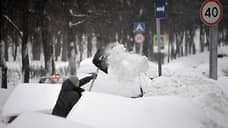 Москву заметает снегом